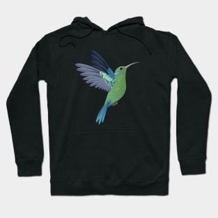 Hummingbird Realistic Hoodie